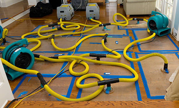Professional Water Extraction technician working in Rensselaer, IN